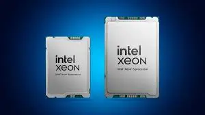 Xeon 6 P-cores vs E-cores